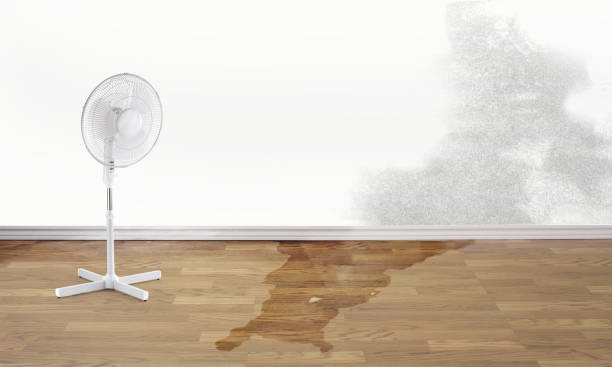 Best Commercial water damage restoration  in Richmond Hill, GA
