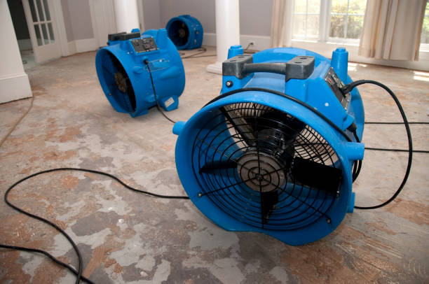 Best Water damage restoration near me  in Richmond Hill, GA