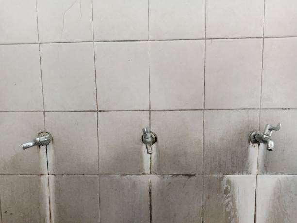 Best Mold removal after water damage  in Richmond Hill, GA