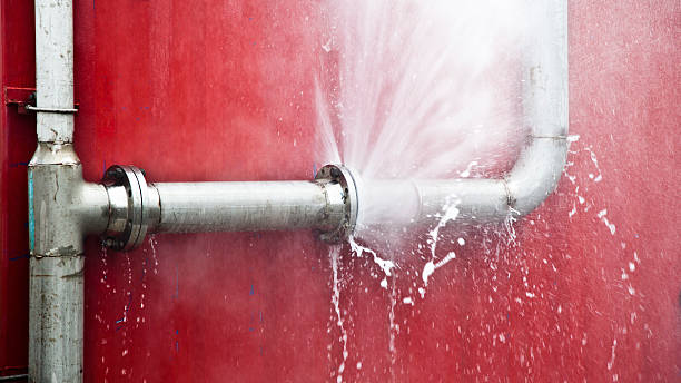 Best Flood restoration services  in Richmond Hill, GA